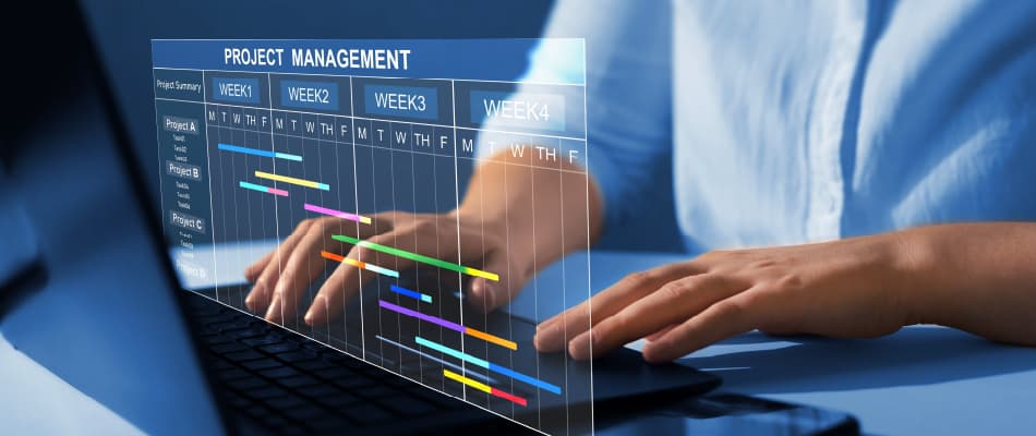 An Overview of What Does a Project Manager Do?