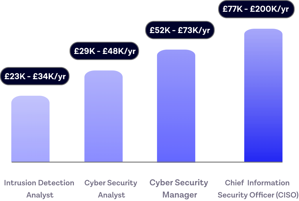 Cyber Security Salary and Career Path