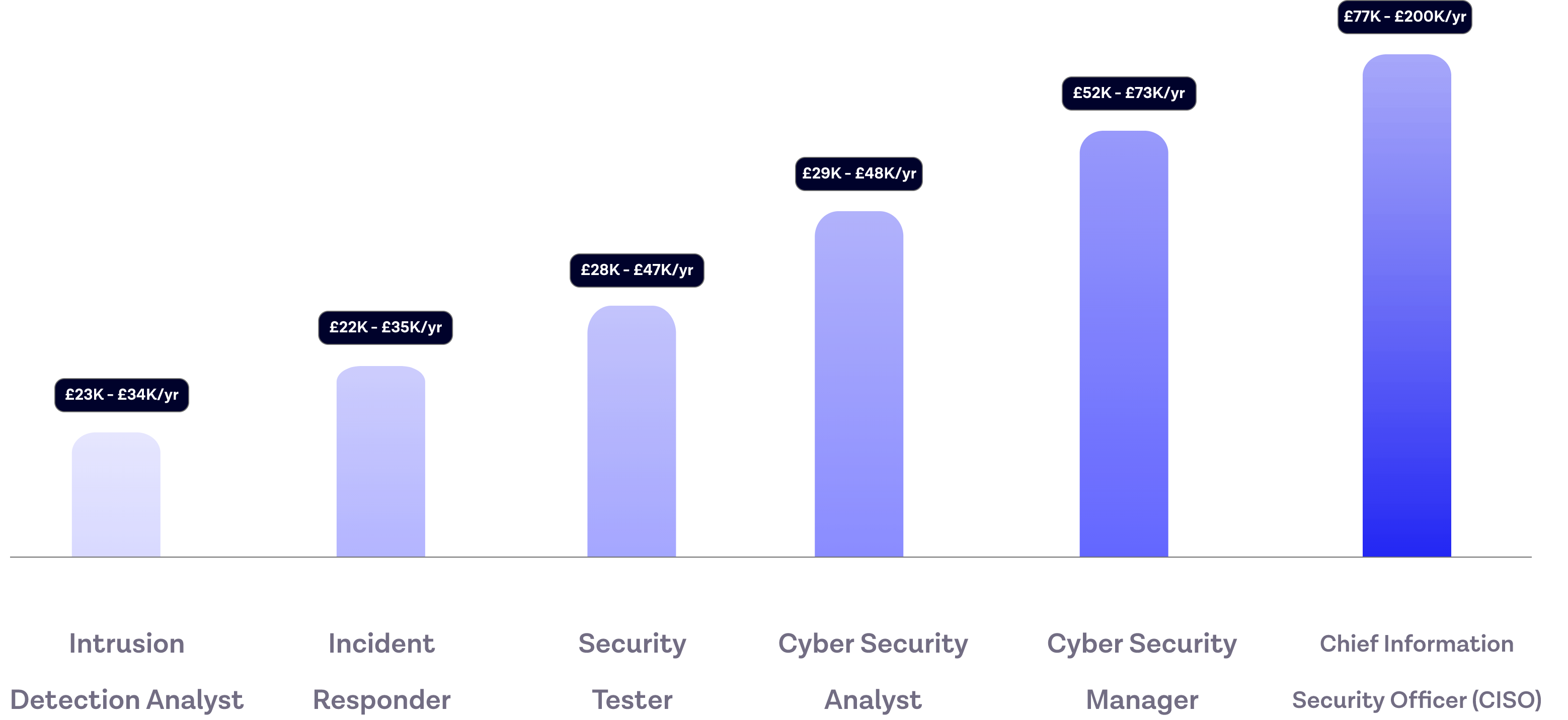 Cyber Security Salary and Career Path